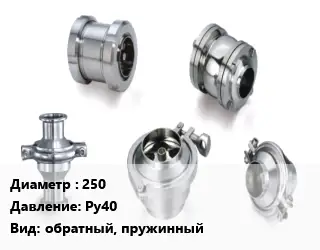 Клапан нержавеющий 250 Ру40 обратный, пружинный